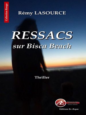 cover image of Les chroniques policières de Biscarrosse--Tome 1